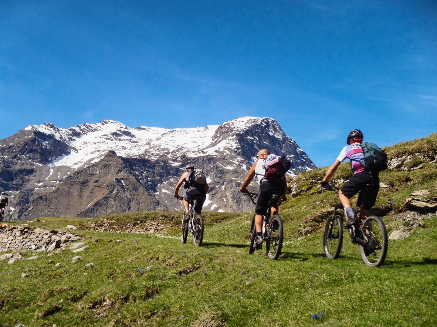 Ciclisti su sentiero erboso con montagne innevate sullo sfondo.