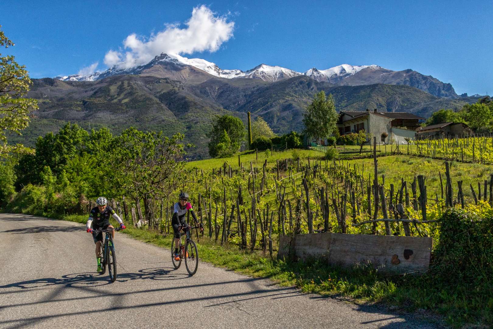 Ciclisti su strada rurale con vista su 
montagne innevate.