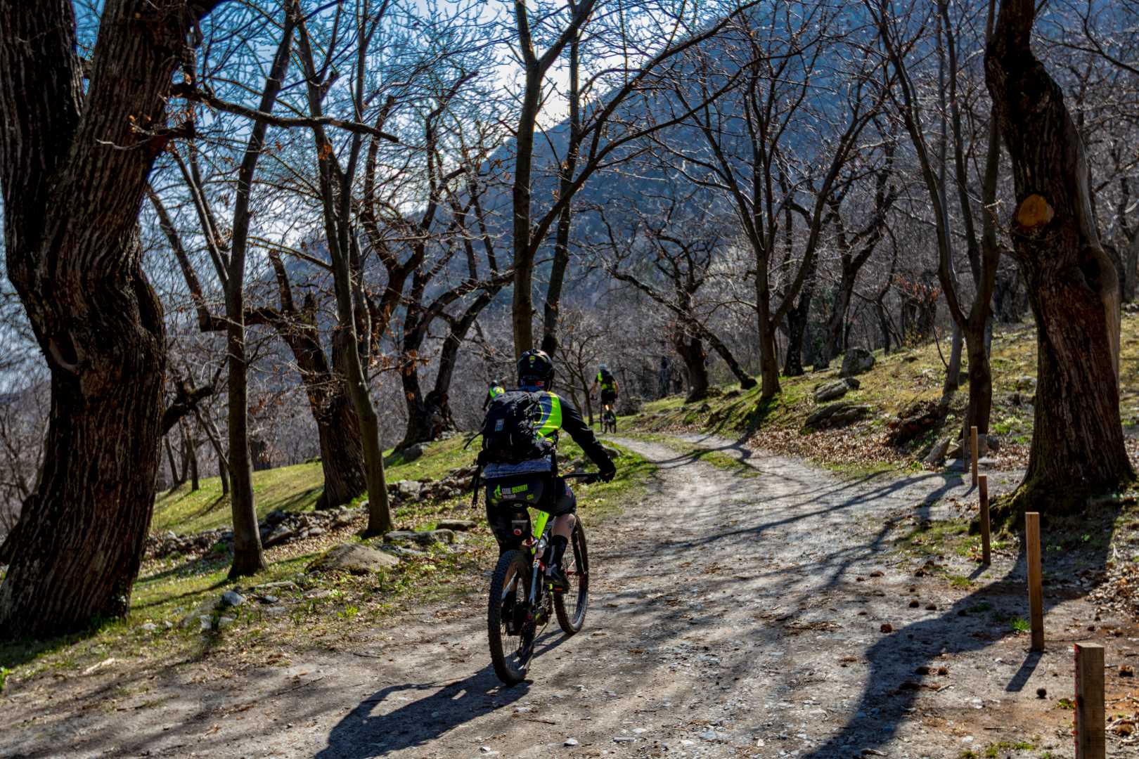 Ciclisti percorrono viale alberato in ambiente invernale con montagne sullo sfondo.