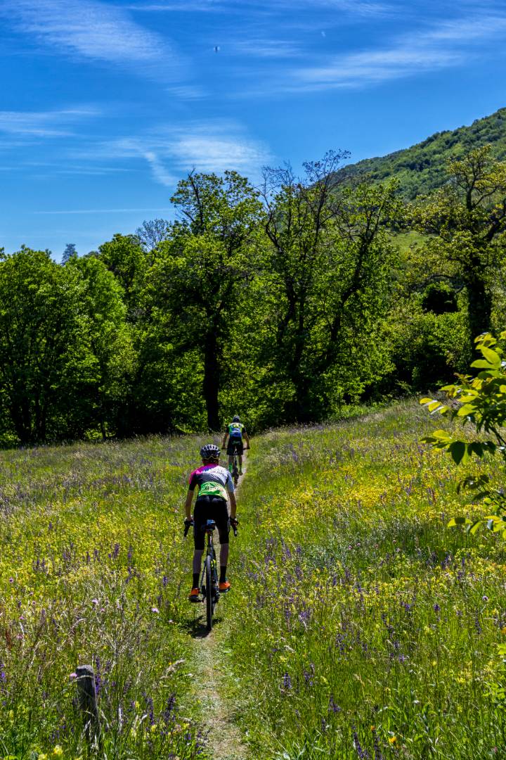 Ciclisti in fila su sentiero campestre tra prati fioriti e alberi verdi.